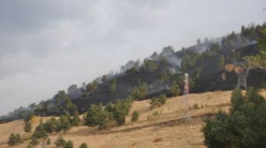 Erzurum'da yangınlara sebep olan &ccedil;ocukların cezası ailesine kesilecek
