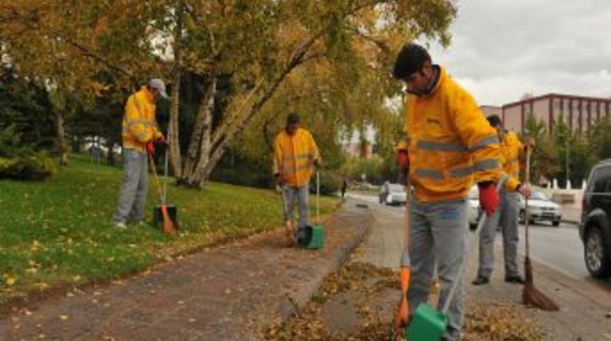 B&uuml;y&uuml;kşehir'den yaprak alarmı