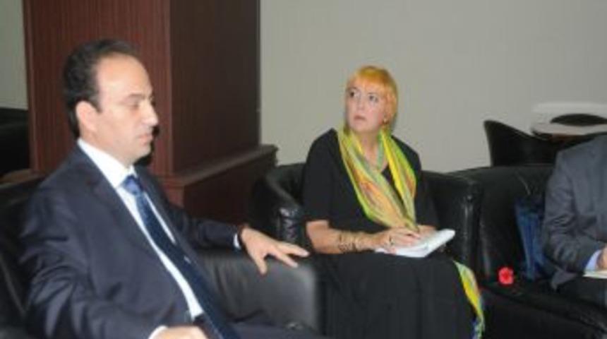 Roth, BDP&rsquo;li belediyelere yapılan yardımları kabul etti