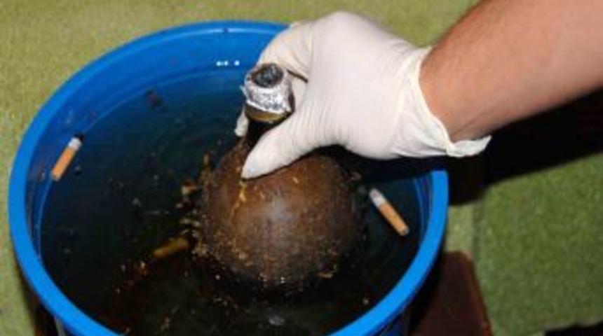 Saksıda esrar yetiştiren şebeke &ccedil;&ouml;kertildi