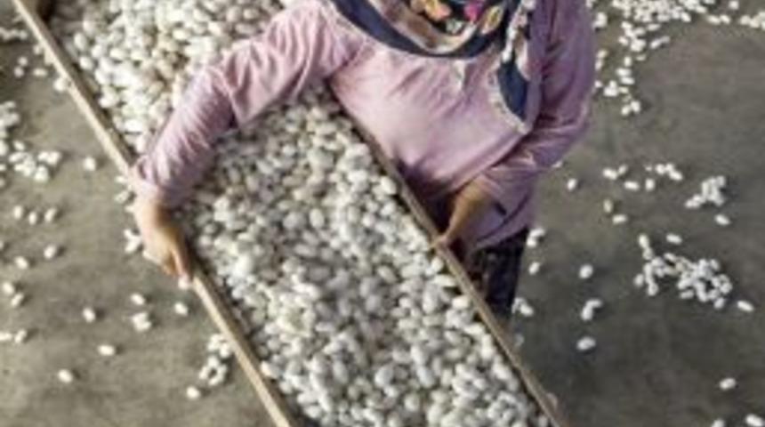 FotoFest &ouml;d&uuml;lleri sahiplerini buldu