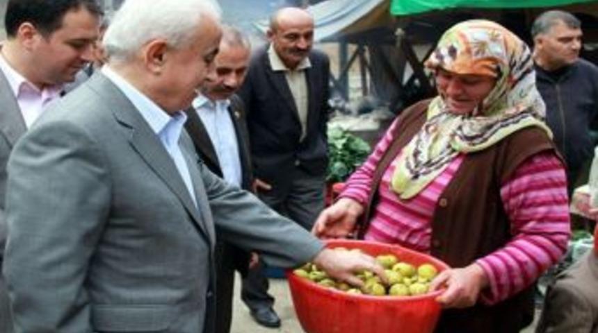 Giresun Valisi Şahin, K&uuml;mbet Yaylası'nda inceleme yaptı