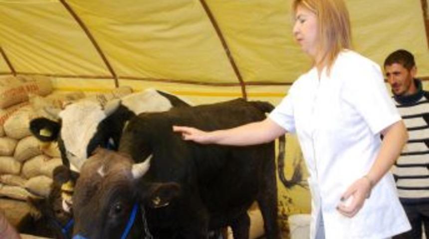 Etimesgut'ta kurban hareketliliği başladı