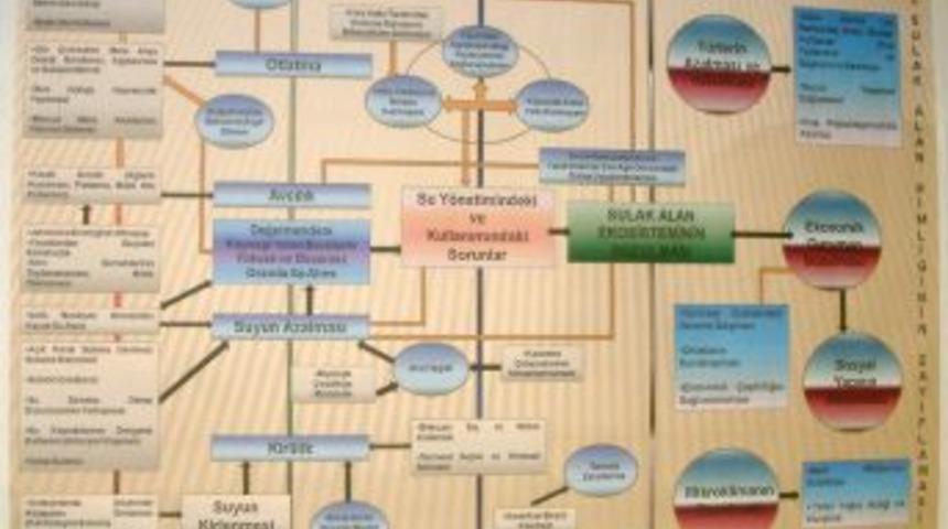 Vali Yardımcısı Turgut: Yaşam alanı kenarına şehir kurup g&ouml;l&uuml; kurutmuşuz