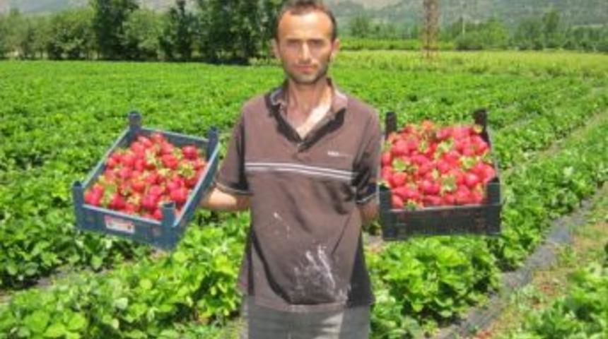 &Ouml;rnek projeyle &ccedil;ilek &ccedil;ift&ccedil;inin yeni g&ouml;zdesi oldu