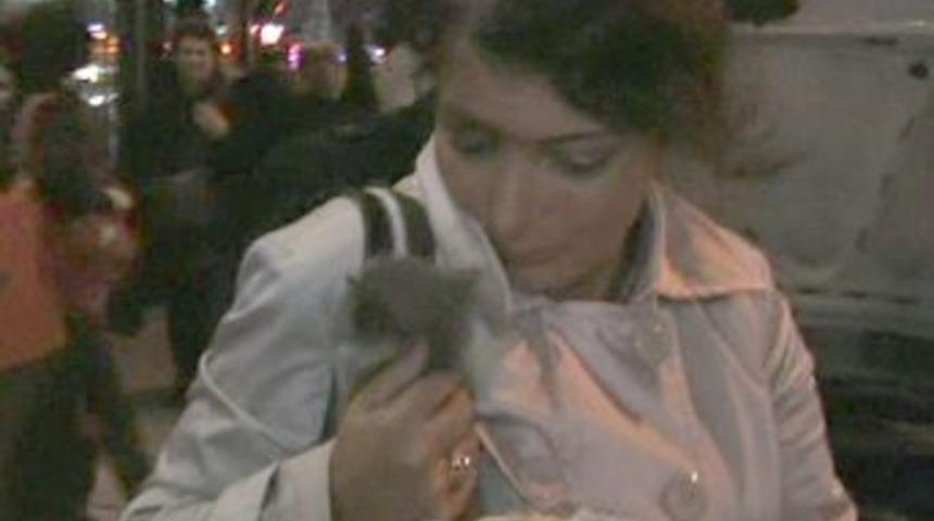 Yavru kedinin imdadına itfaiyeciler yetişti