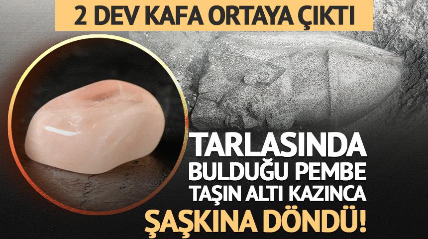 Tarlasında bulduğu pembe taşın altı kazınca şaşkına d&ouml;nd&uuml;! 2 dev kafa ortaya &ccedil;ıktı
