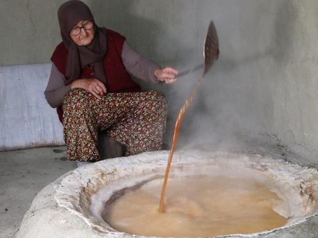 150 yıldır yetiştiriyorlar, bilim insanları inceleyince ger&ccedil;ek ortaya &ccedil;ıktı! Milli Gen Havuzu'na girdi