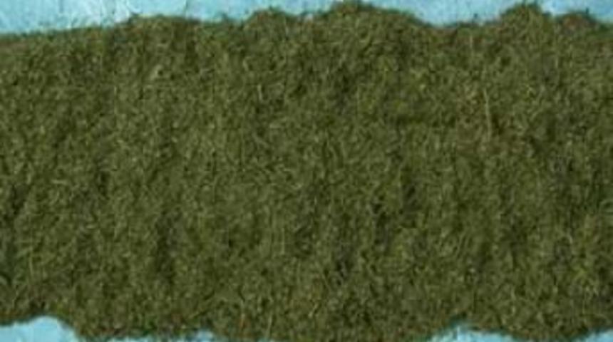 Zehir tacirlerine baskın