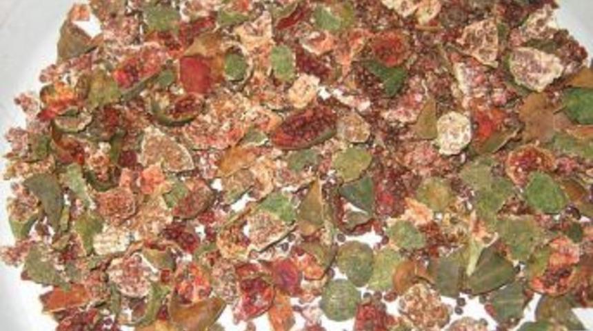 Kağızman'da kapari hasatı