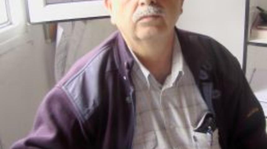 Zeytin hasadı başladı