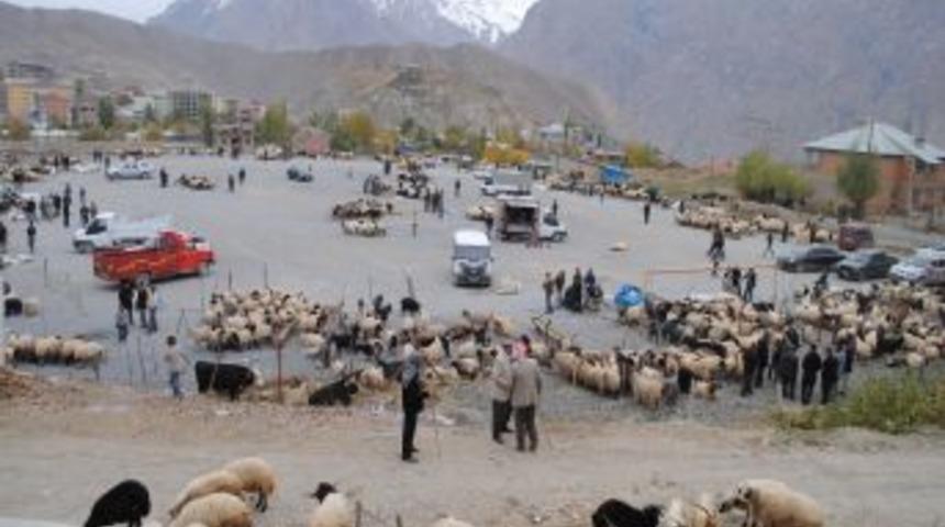Hakkari&rsquo;de kurbanlıklar alıcı bekliyor