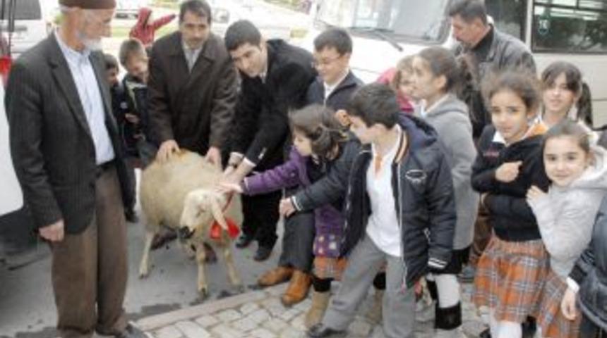 &Ouml;ğrenciler har&ccedil;lıklarıyla ihtiya&ccedil; sahibi aileye kurban bağışı yaptı