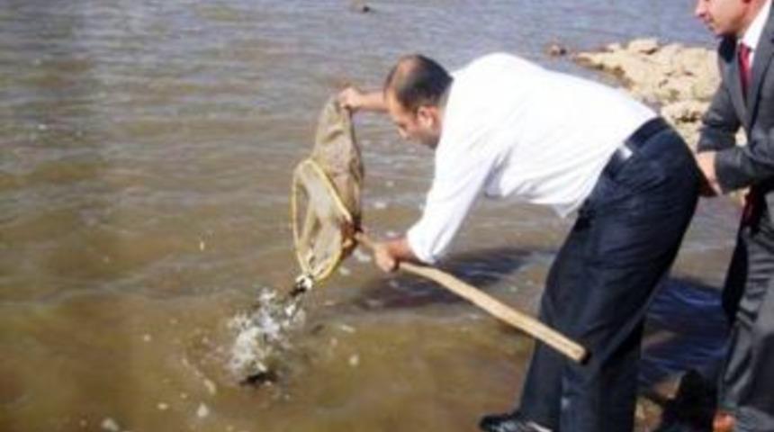 25 bin sazan balığı g&ouml;letlere bırakıldı