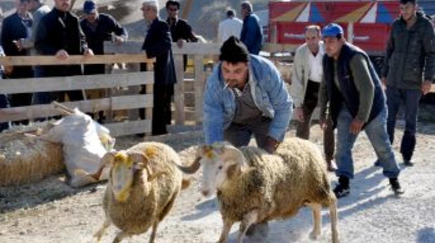 Kurbanlık hayvan pazarında Arefe g&uuml;n&uuml; hareketliliği