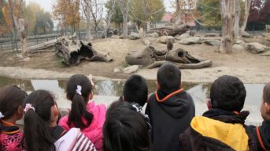 Bursa Hayvanat Bah&ccedil;esi'nin 13. kuruluş yıl d&ouml;n&uuml;m&uuml; kutlandı