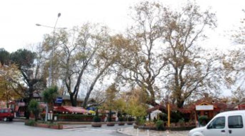 550 yıllık "Fetih &ccedil;ınarları" Ereğli&rsquo;nin simgesi oldu