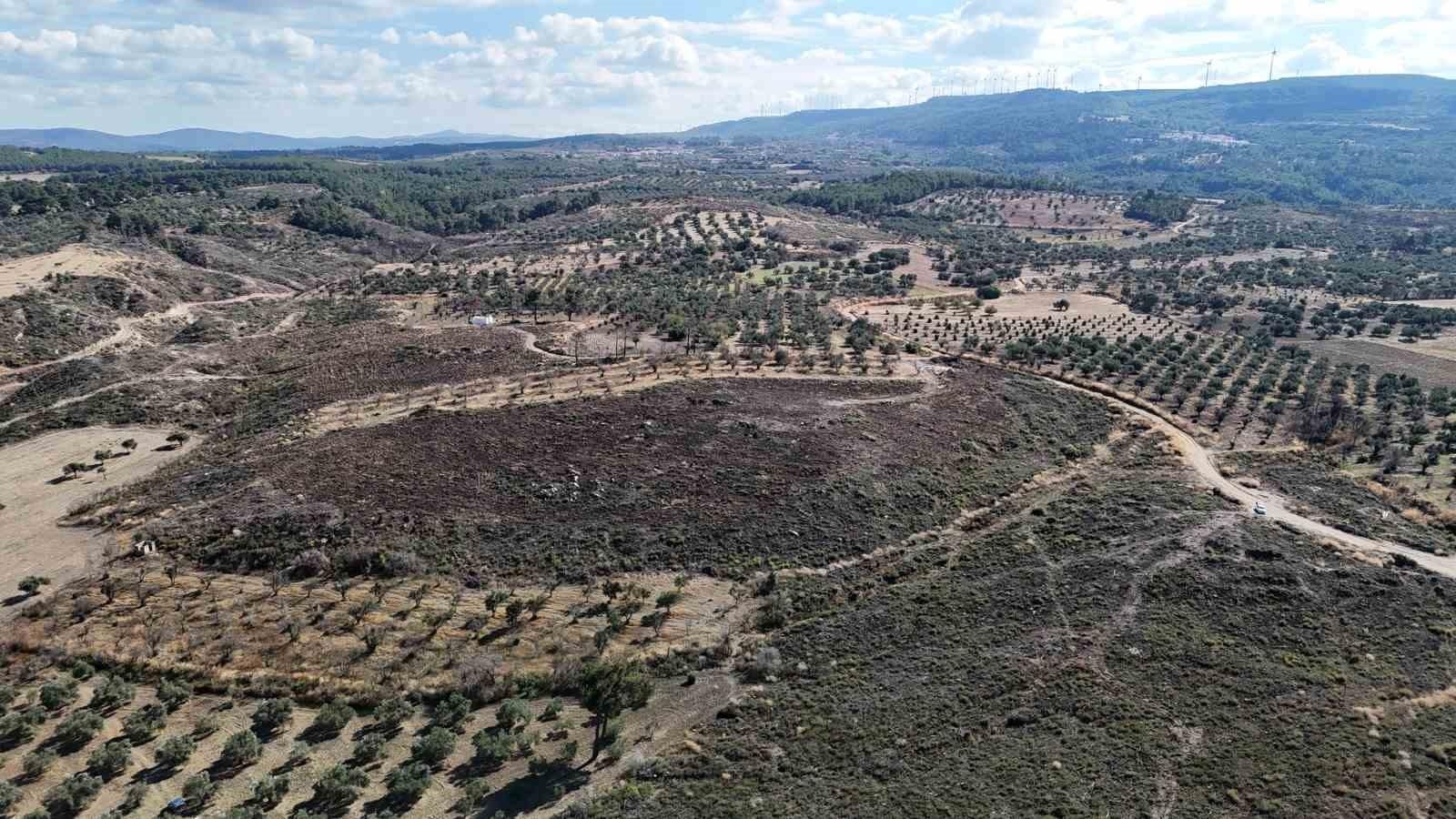 Çanakkale’de yanan ormanlar küllerinden doğuyor
