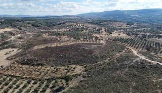&Ccedil;anakkale&rsquo;de yanan ormanlar k&uuml;llerinden doğuyor