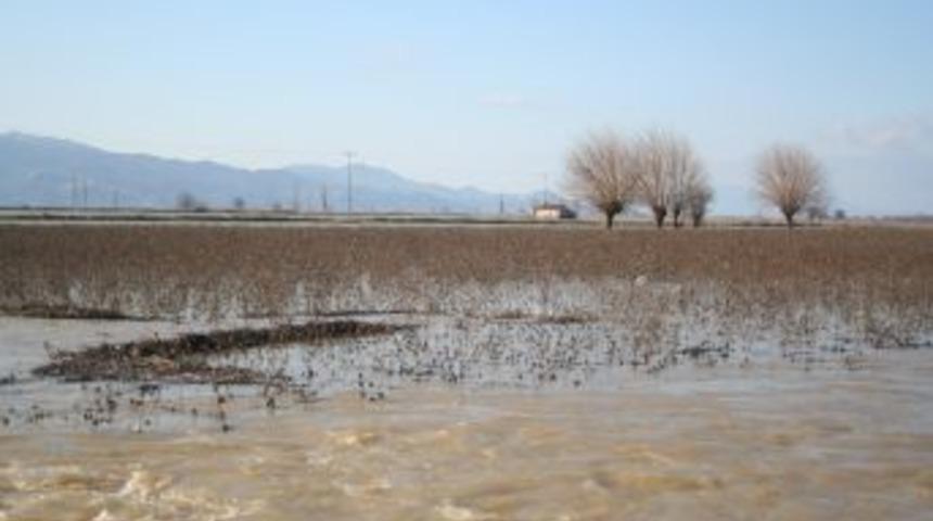 Tarım arazileri su altında kalanlar yaralarını sarmaya &ccedil;alışıyor