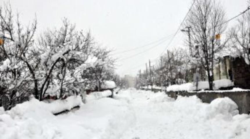 Bitlis'te 167 k&ouml;y yolu ulaşıma kapandı