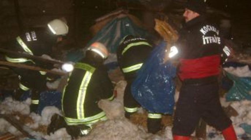 Kara dayanamayan ahırın &ccedil;atısı &ccedil;&ouml;kt&uuml;: 40 ke&ccedil;i telef oldu