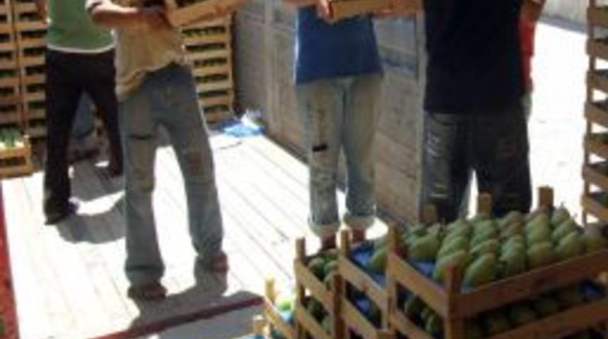 T&uuml;rkiye tarımsal &uuml;retiminin y&uuml;zde 7&rsquo;sini Bursa karşılıyor