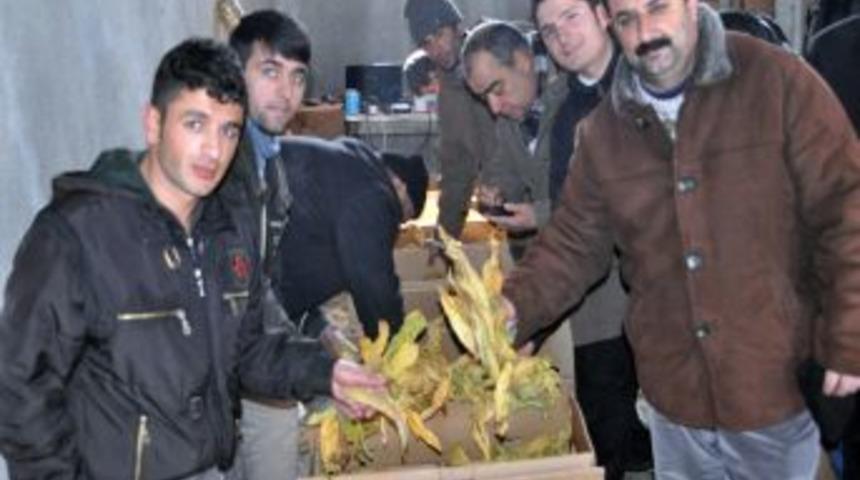 Muş&rsquo;ta t&uuml;t&uuml;n &uuml;reticileri t&uuml;t&uuml;nlerini satabilmek i&ccedil;in kızakla taşıyor