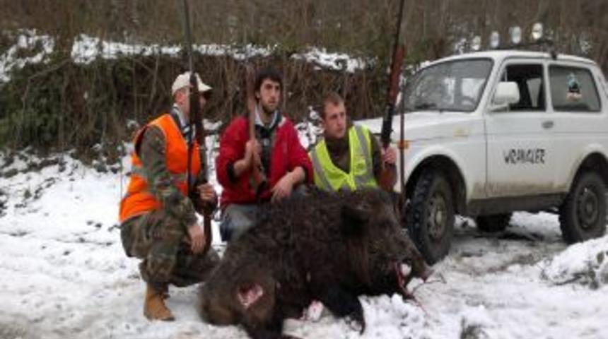 Av k&ouml;peğini yaralayan domuzu &ouml;ld&uuml;rd&uuml;ler