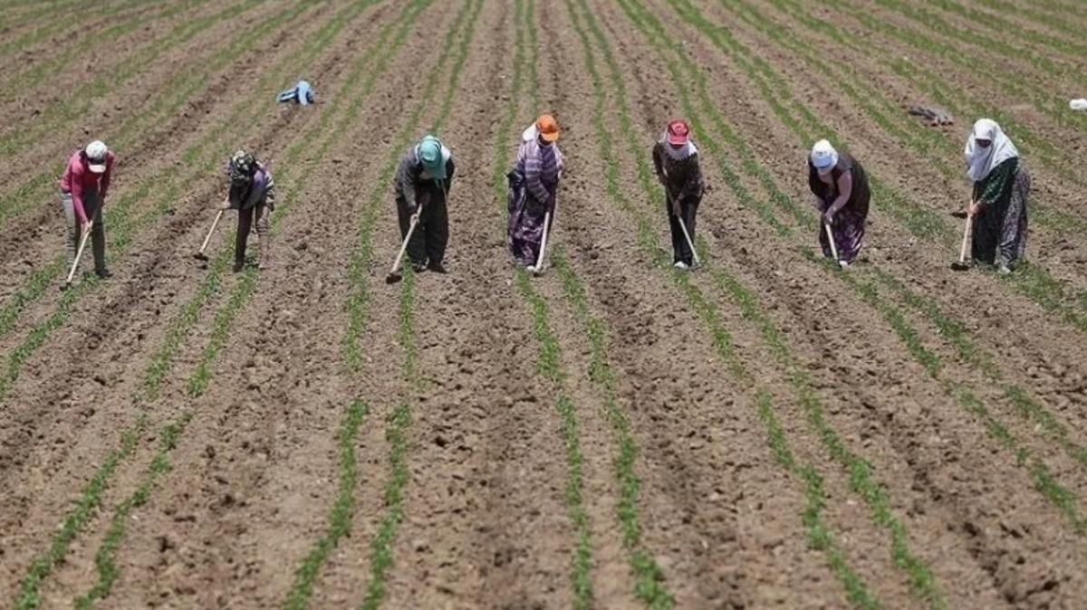 T&uuml;rkiye de en &ccedil;ok aranan meslekler belli oldu 3