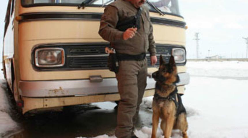 Pascal uyuşturucu avında!