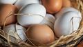 Beyaz ve kahverengi yumurta aras�nda ger�ekten fark var m�?