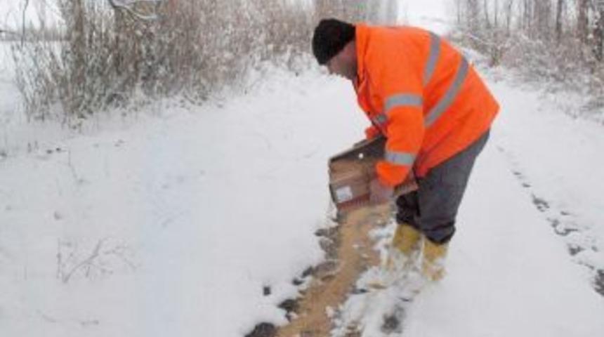 Yabani hayvanlar i&ccedil;in a&ccedil;ık alanlara yem bırakıldı