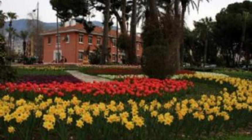 Alanya'da laleler &ccedil;i&ccedil;ek a&ccedil;tı