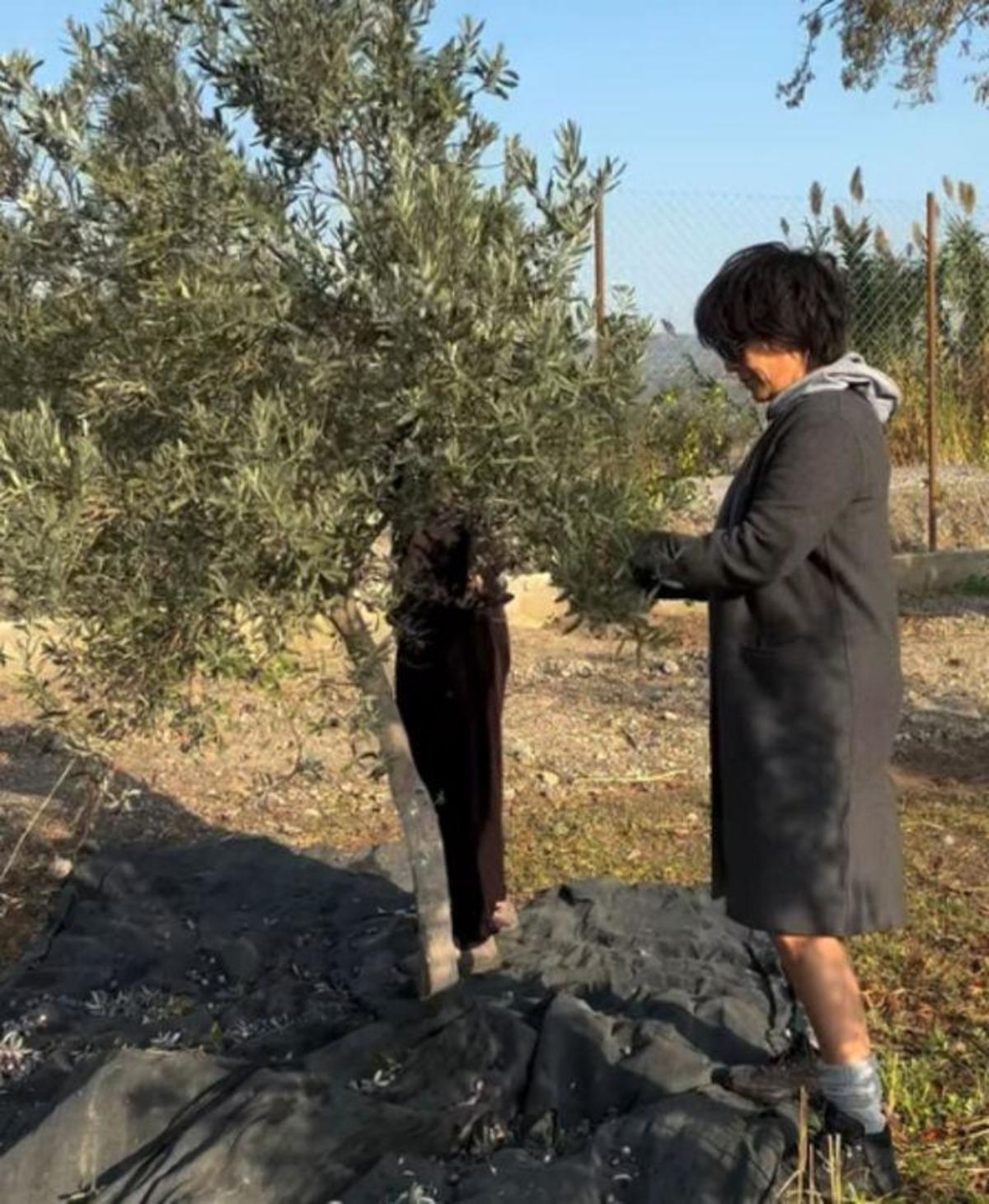 Filiz Taçbaş oyunculuğu bıraktı! Önce siyasete atıldı sonra ticarete... 1