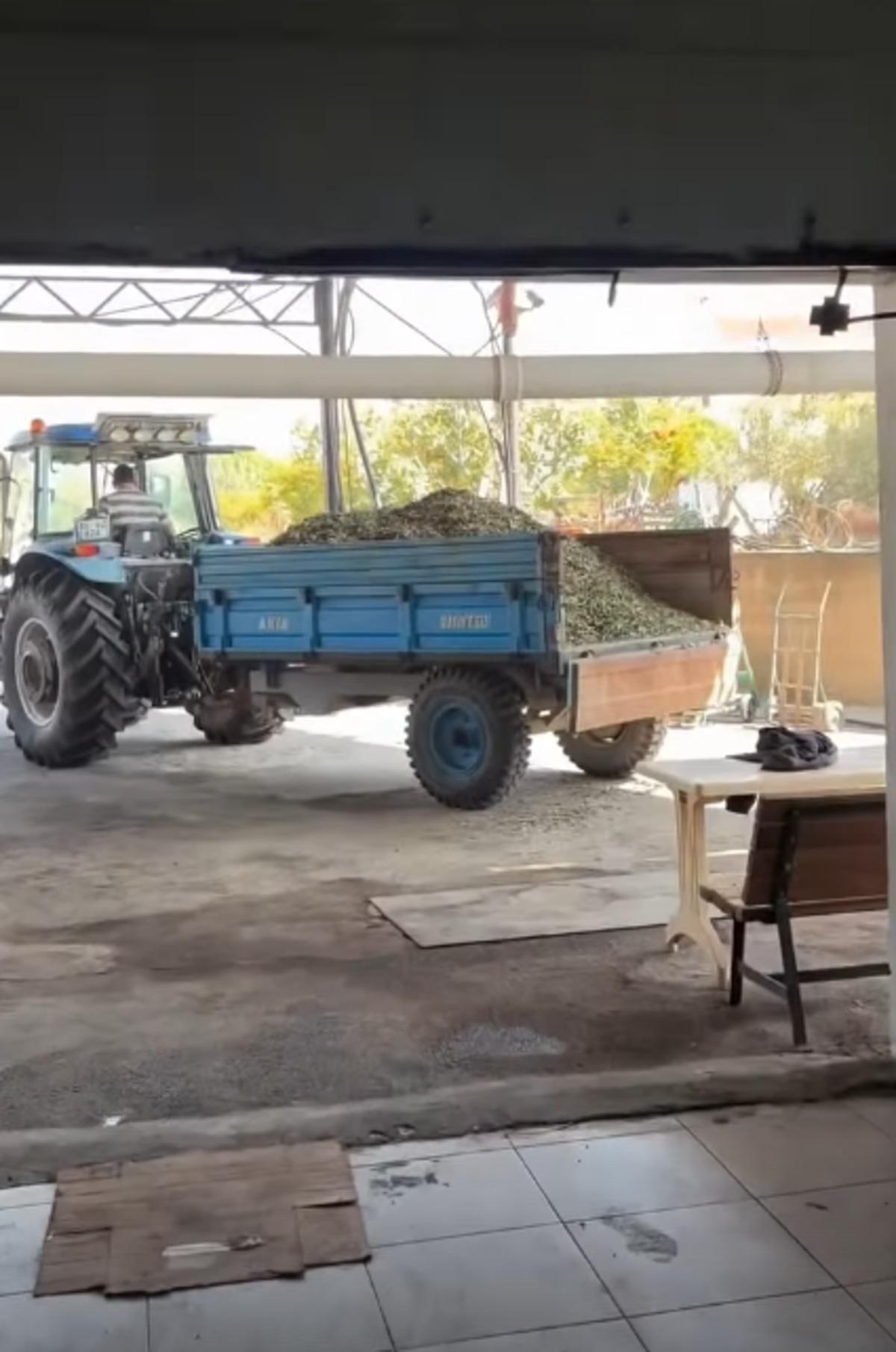Filiz Taçbaş oyunculuğu bıraktı! Önce siyasete atıldı sonra ticarete... 4