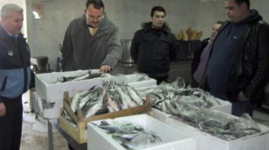 Manisa'da sağlıksız balık satanlara ceza kesildi