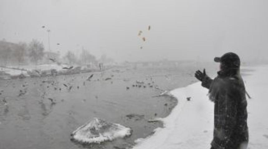 B&uuml;y&uuml;k&ccedil;ekmece&rsquo;de kuşlar a&ccedil; kalmadı