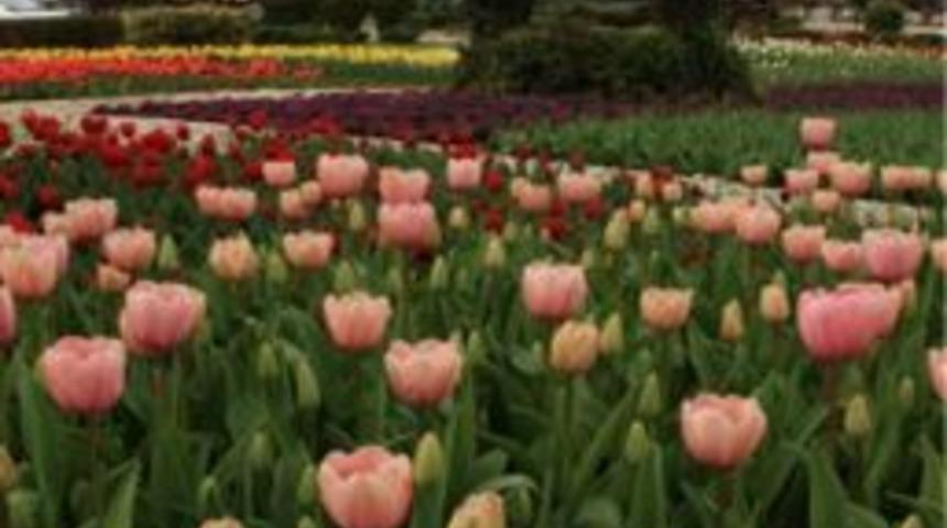 Alanya&rsquo;da sıcak havayı fırsat bilenler parklara ve sahillere koştu