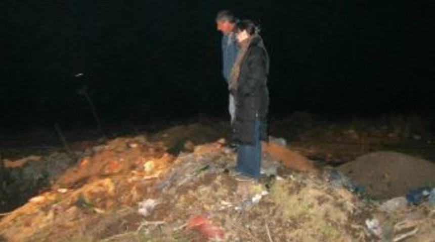 İbriktepe'de belediyeye 'k&ouml;pek katliamı yapıyor' su&ccedil;laması