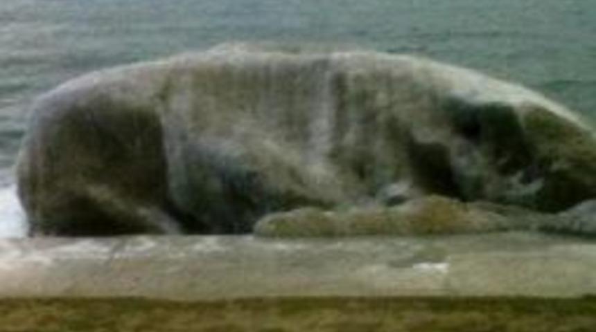 Denizde kayaların &uuml;st&uuml; buz tuttu