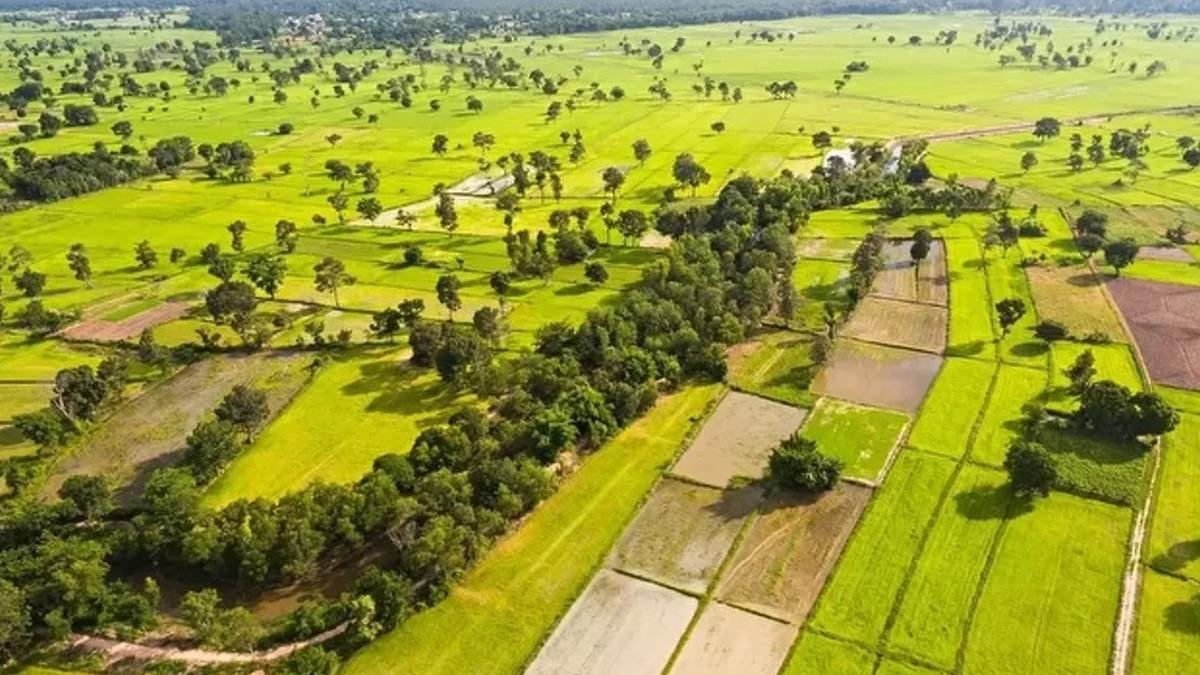 Fiyatlar 400 bin TL den başlıyor: TOKİ den 61 ilde arsa fırsatı 1