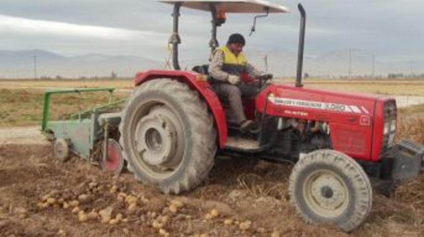 Elde kalan patates depolarda çürüyor