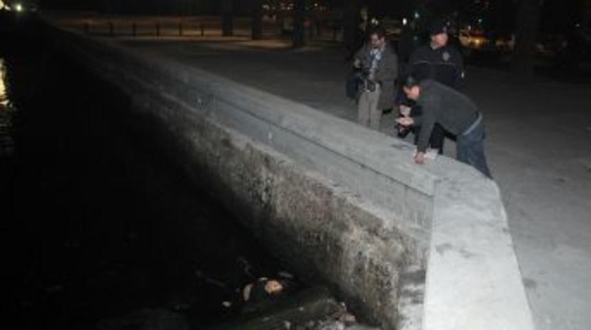 Denize atlayan kadını gören şahıs uyuşturucu zanlısı çıktı