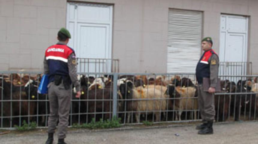 Jandarma ka&ccedil;ak ke&ccedil;iye ge&ccedil;it vermedi