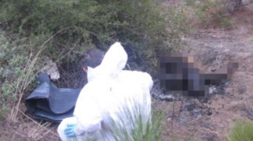 Niksar'da yanmış ceset bulundu