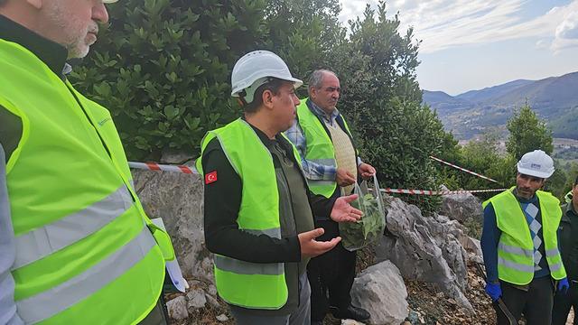 3 TL'ye toplanıyor, işlenince 10 bin TL oluyor: 'Yeşil altın' hamlesi