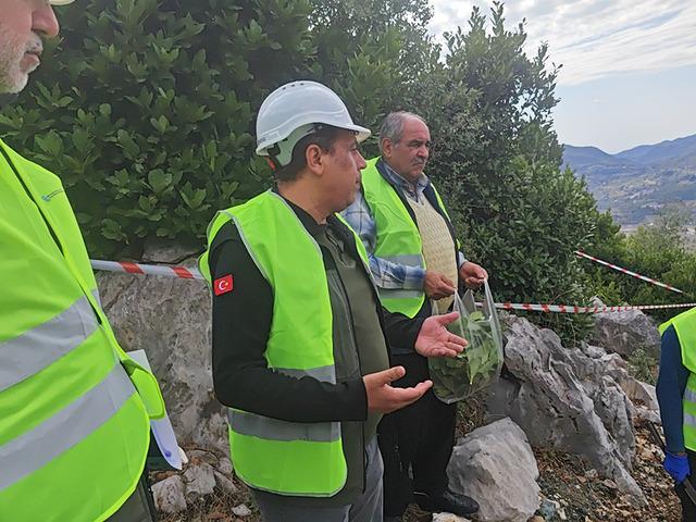 3 TL'ye toplanıyor, işlenince 10 bin TL oluyor: 'Yeşil altın' hamlesi