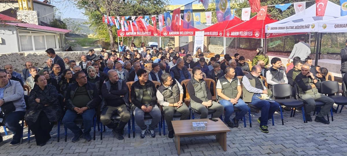 3 TL ye toplanıyor, işlenince 10 bin TL oluyor:  Yeşil altın  hamlesi 2