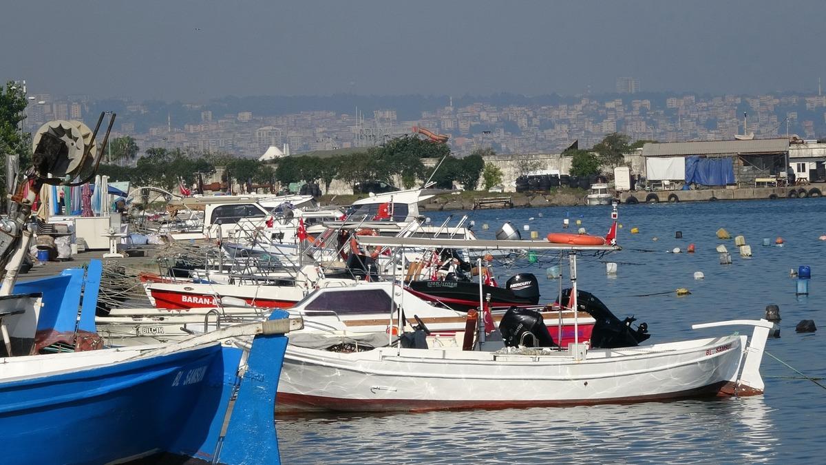 B&ouml;ylesi yaşanmadı! Alarm başladı:  Hepsini yiyor, bir an &ouml;nce tutulup ucuza satılmalı  1